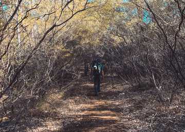 Climb Nowra